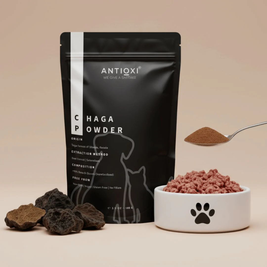 Chaga | Pets