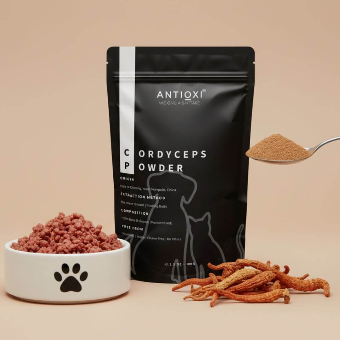 Cordyceps | Pets