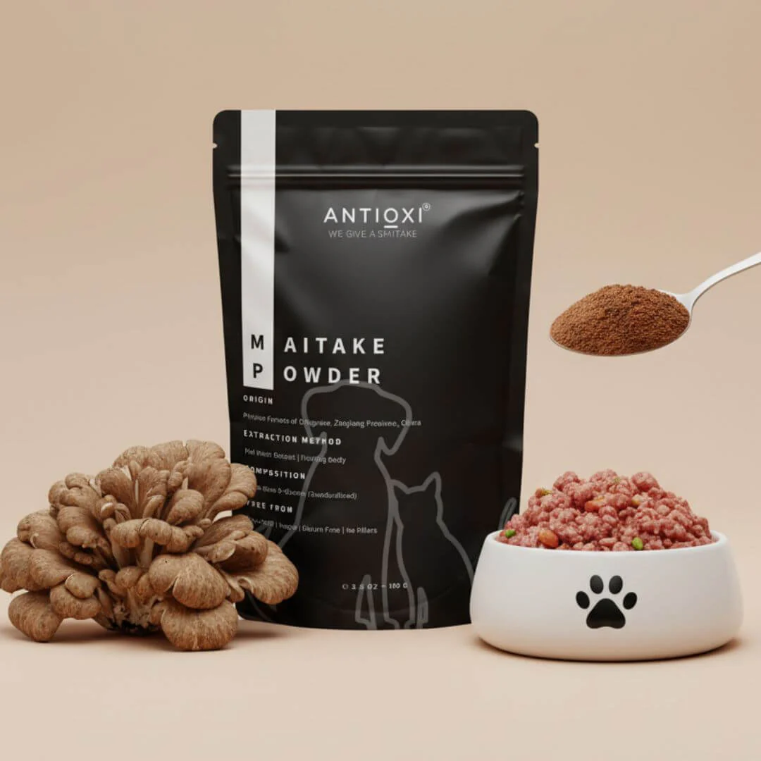 Maitake | Pets